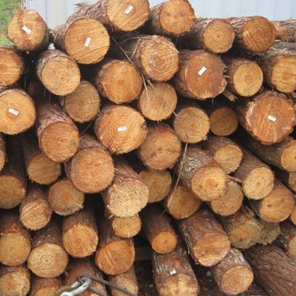 Yellow-Southern-Pine-Logs.png Yellow Southern Pine Logs